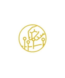 Fisioterapia Icon