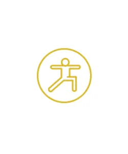 Fisioterapia Icon